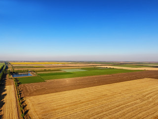 Canvas Print - Beautiful fields on sunny day