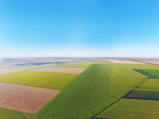 Canvas Print - Beautiful fields on sunny day