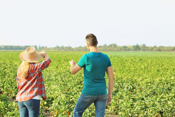 Canvas Print - Two farmers standing in field on sunny day