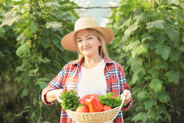 Canvas Print - Female farmer holding wicker basket with vegetables near greenhouse