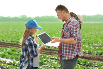 Canvas Print - Two farmers with laptop in field