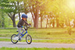 © Daniel CHETRONI - Happy kid boy of 5 years having fun in spring park with a bicycle on beautiful fall day. Active child wearing bike helmet