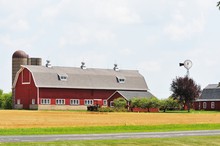 Farm With Windmill
