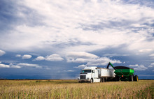 A Tractor And Grain Cart Unloading Canola Seed Into A Semi Truck And Trailer In A Harvested Field Under Blue Cloudy Sky In A Autumn Countryside Landscape