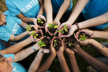 Group of environmental conservation people hands planting in aerial view