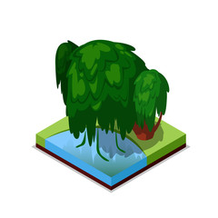 Wall Mural - Green willow tree isometric 3D icon. Public park decorative tree and green grass vector illustration. Nature map element for summer parkland landscape design.