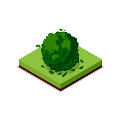 green bush isometric 3d icon. public park decorative plant and green grass vector illustration. natu