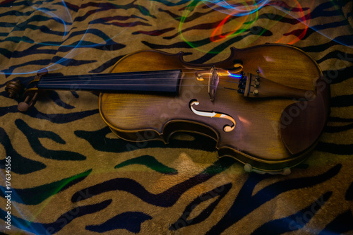 Plakat ViolinPainting II
