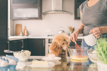 Wall Mural - Young woman with her dog is cooking on the kitchen .  