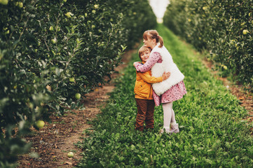 Wall Mural - Two funny kids playing in green apple orchard, happy childhood in countryside