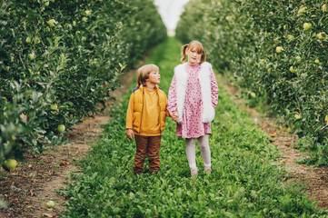 Wall Mural - Two funny kids playing in green apple orchard, happy childhood in countryside