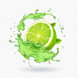 Fresh lime in juice splash Isolated fruit vector illustration