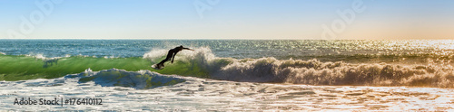 Zdjęcie XXL Surfer na fali.