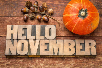 Wall Mural - Hello November word abstract in wood type