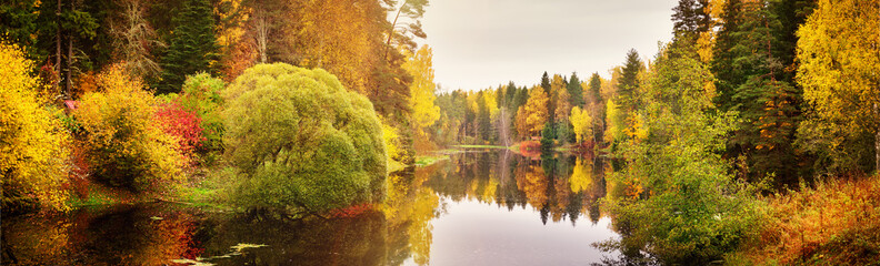 Canvas Print - trees with multicolored leaves on shore at lake