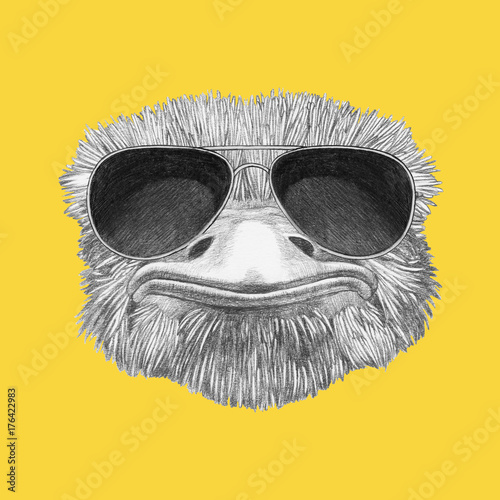 Portrait Of Ostrich With Sunglasses Hand Drawn Illustration Buy