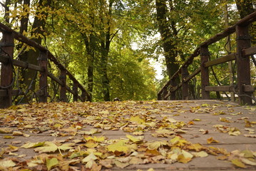 Wall Mural - Autumn leaves on a wooden bridge in the park