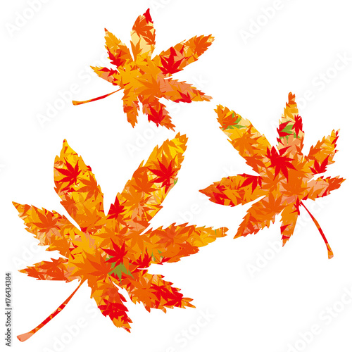 文様が入ったモミジのイラスト 和風の紅葉 楓 Illustration Of Maple Stock Vector Adobe Stock 文様が入ったモミジのイラスト 和風の紅葉 楓 Illustration Of Maple Stock Vector Adobe Stock