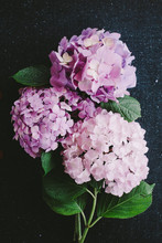 Bouquet Of Hydrangea Flower