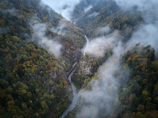 Wall Mural - street from above trough a misty forest at autumn, aerial view flying through the clouds with fog and trees