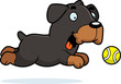 Cartoon Rottweiler Chasing Ball