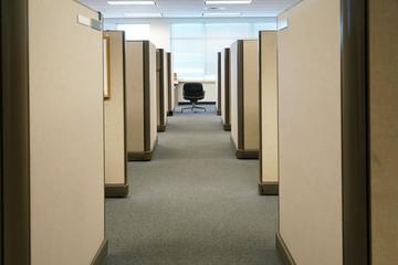 Wall Mural - cubicles inside office building, place of work