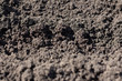 A strip of black earth close-up background.