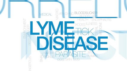 Sticker - Lyme disease animated word cloud, text design animation. Kinetic typography.