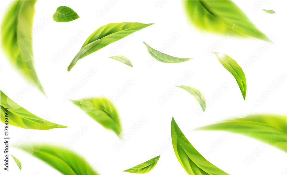 Vector 3d illustration with green tea leaves in motion on a white background. Element for design, advertising, packaging of tea products - obrazy, fototapety, plakaty 
