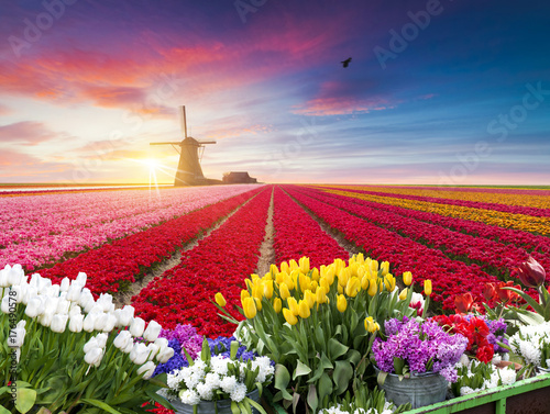 tradycyjne-holenderskie-holenderskie-holenderskie-dekoracje-z