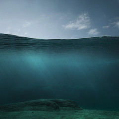 Wall Mural - empty underwater background with copy space