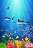 Fototapeta Do akwarium - Blue Marlin Fish Swimming Under Water Cartoon Animal Character. Vector Illustration.