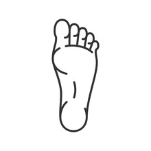 Foot Linear Icon