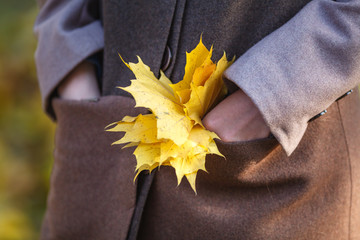 Wall Mural - autumn leaves in girl hands