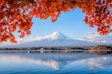 Mt. Fuji Viewed With Maple Tree In Fall Colors In Japan.