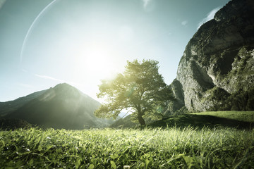 Sticker - Idyllic landscape in the Alps, tree, grass and mountains, Switzerland