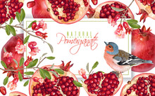 Pomegranate Branch Bird Banner