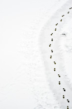 Footsteps In Snow