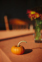 Mini Pumpkin On Table