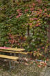 © lotharnahler - herbstlicher biergarten  im freilichtmuseum bad-sobernheim