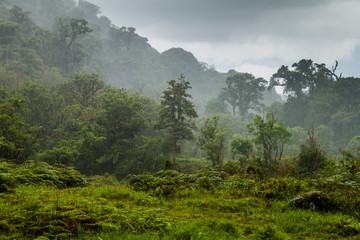 Obraz na płótnie góra woda tropikalny