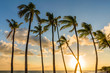 Palm Trees at Sunset in Hawaii