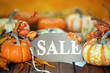 Autumn pumpkins with sale tag background