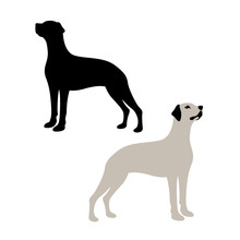 Dog Vector Illustration Style Flat Black Silhouette Set
