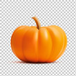 Bright orange vector realistic pumpkin isolated on transparency grid background
