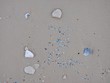 Ocean Plastic- environment 