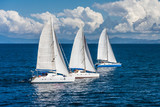 Fototapeta  - Three sailboats racing