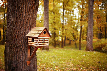 birdhouse in autumn park