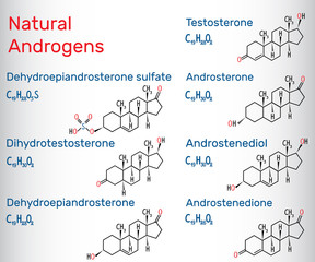 Sticker - Natural androgens (steroid hormone) - structural chemical formula and molecule model