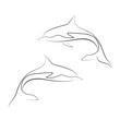 Black line dolphins on white background. Hand drawing vector graphic.